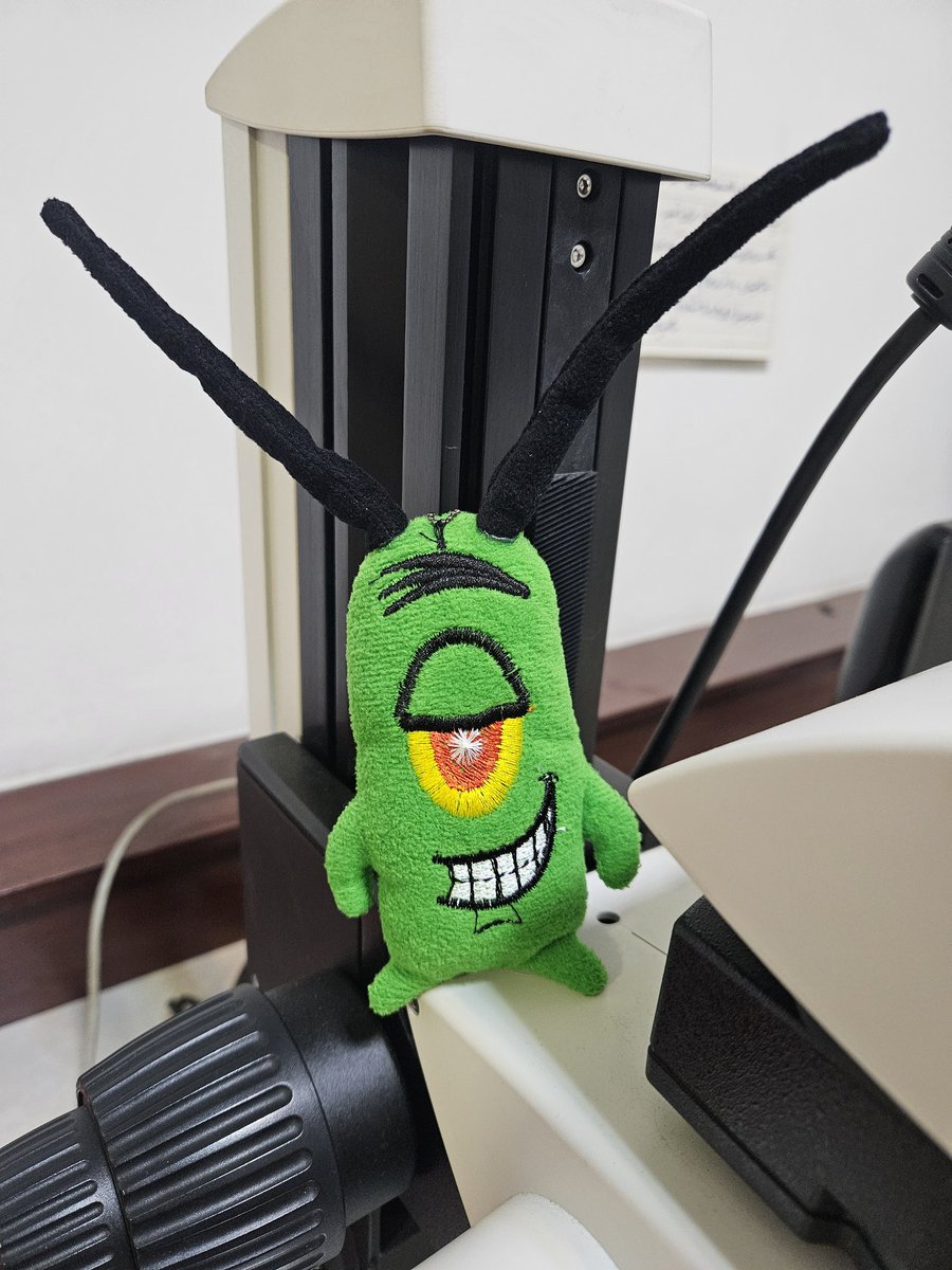 Reyhaneh_Hn's tweet photo. My labmate made my day by giving me this gift today.
#Plankton #zooplankton #copepod https://t.co/uc3cippkVe