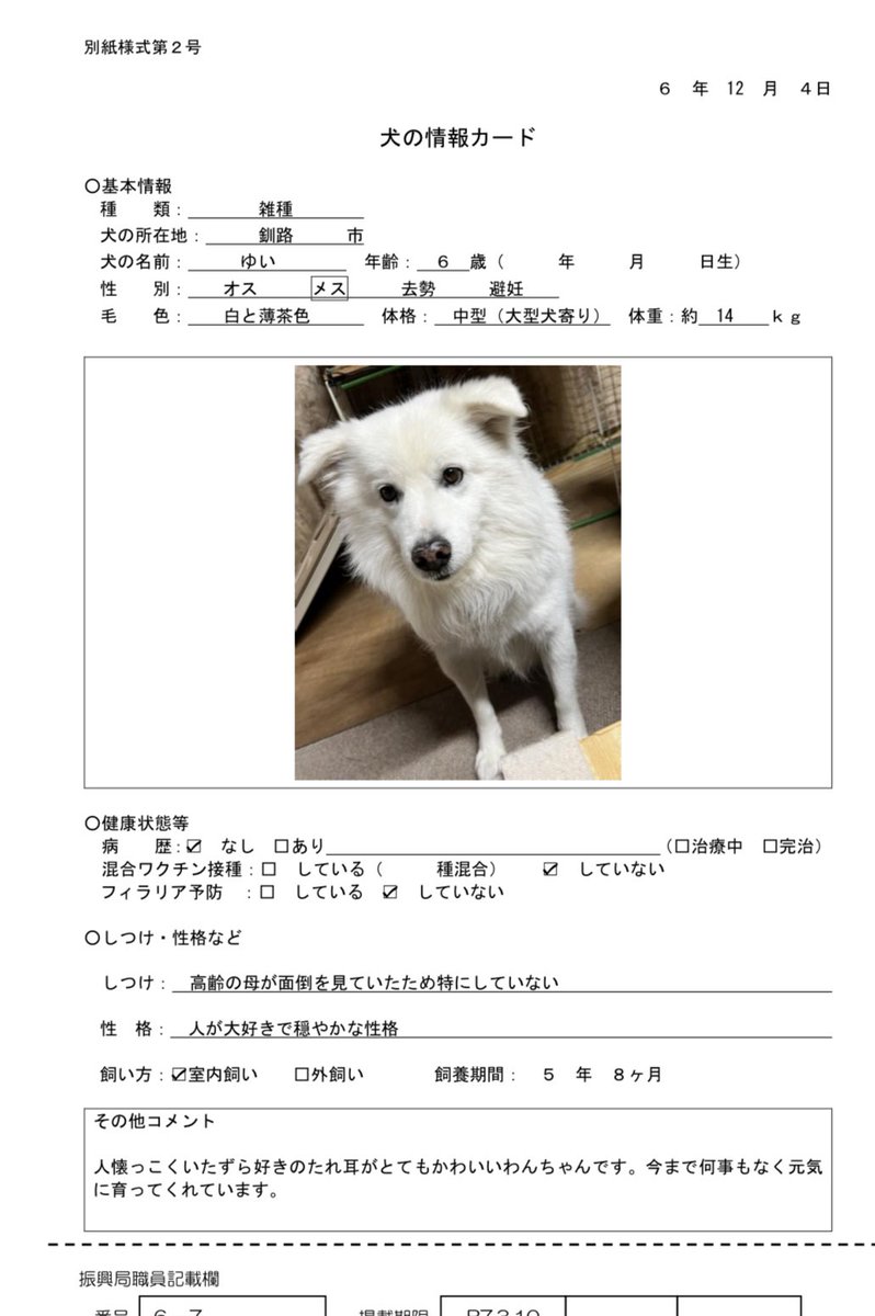 LuckyStar111222's tweet photo. 釧路総合振興局　飼い主探しノートより急ぎで里親さんを探している子達です。
どちらも人懐こいとのこと。
よろしくお願いします！

https://t.co/aSrJDBOe96 https://t.co/UGYxfgTs5e