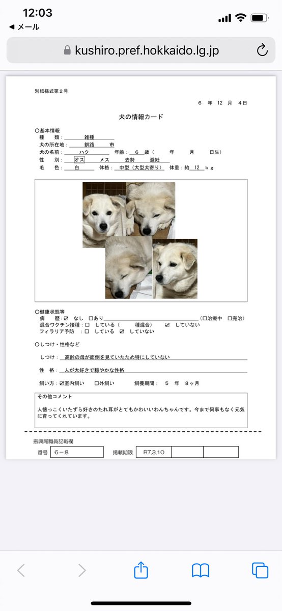 LuckyStar111222's tweet photo. 釧路総合振興局　飼い主探しノートより急ぎで里親さんを探している子達です。
どちらも人懐こいとのこと。
よろしくお願いします！

https://t.co/aSrJDBOe96 https://t.co/UGYxfgTs5e