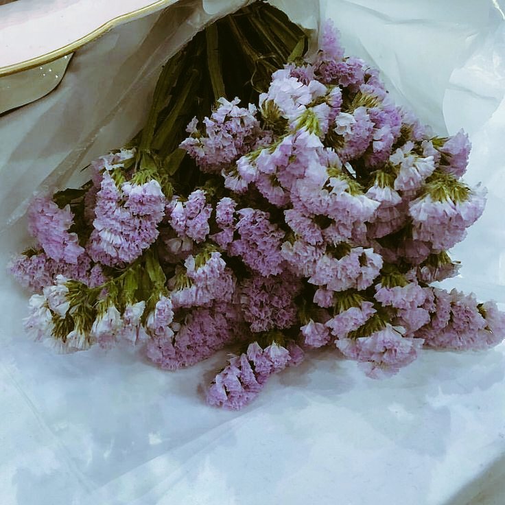 cordialemens's tweet photo. ㅤㅤ.˙📦⋆ ㅤㅤ@snowscels 

a  little  something  for  my  dearest,  please  keep  warm  and  think  of  me  hehe~ https://t.co/TV8ZDmnbaV
