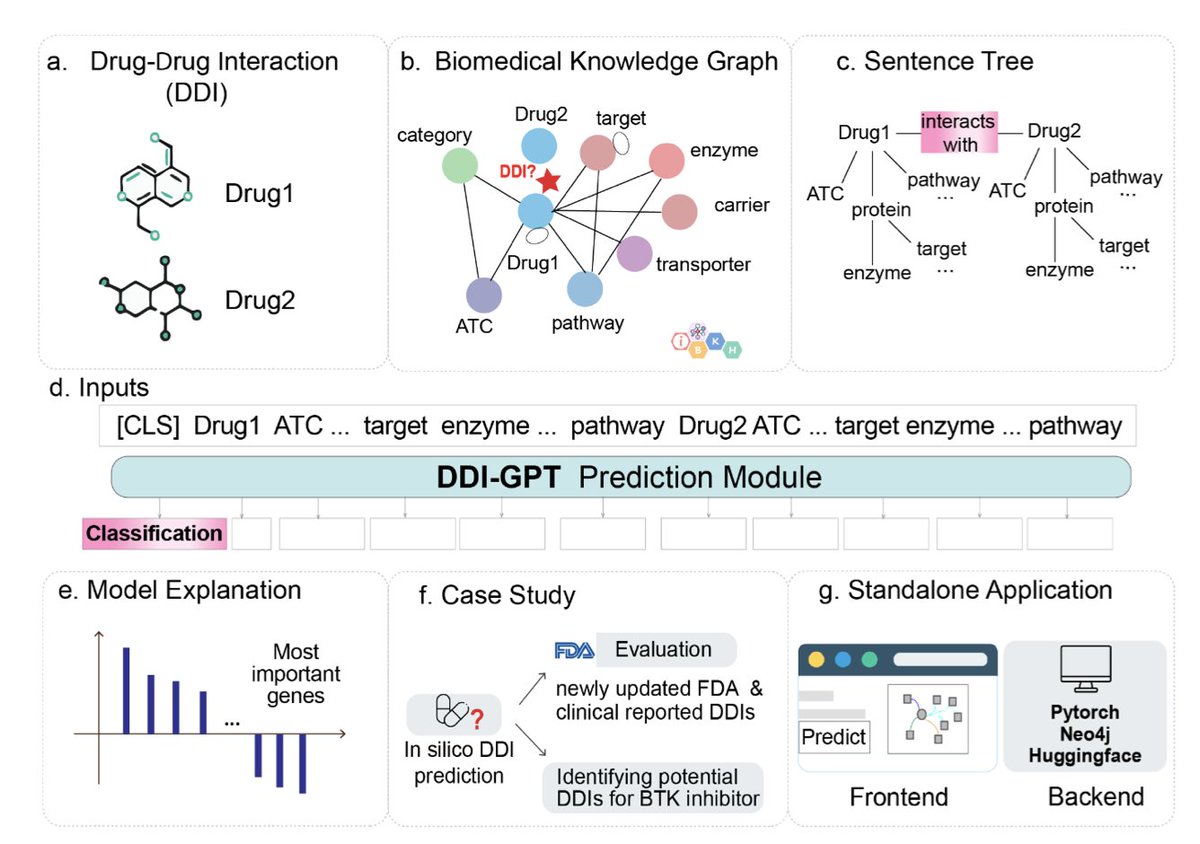 BiologyAIDaily's tweet photo. DDI-GPT: Explainable Prediction of Drug-Drug Interactions using Large Language Models enhanced with Knowledge Graphs

• Introducing DDI-GPT, a cutting-edge framework that combines knowledge graphs and large language models (LLMs) to predict and explain drug-drug interactions (DDIs), addressing critical challenges in drug safety.

• DDI-GPT achieves state-of-the-art accuracy with an AUROC of 0.964, outperforming other methods like CASTER by 14% in zero-shot prediction on newly curated FDA datasets.

• The model integrates structured biomedical knowledge from curated graphs into LLMs, enabling rich, context-aware predictions. Its novel “sentence tree” method preserves the relational topology of input data for high-quality results.

• Beyond predictions, DDI-GPT provides interpretability through gene importance scoring and pathway enrichment analysis, offering mechanistic insights into interactions like those involving Bruton’s tyrosine kinase (BTK) inhibitors.

• Validated with independent datasets, DDI-GPT effectively identifies DDIs in real-world cases, demonstrating robustness in predicting interactions for understudied or new drugs.

• The framework supports clinical decision-making with an interactive tool for dynamic DDI analysis, including network visualization of protein-protein interactions and adverse reaction linkages.

• DDI-GPT exemplifies the future of drug safety research by bridging data-driven predictions with explainable insights, essential for precision medicine.

@ElementoLab @ChengqiXu @dragon_heng
💻Code: https://t.co/1sSwSoUnvV
📜Paper: https://t.co/jb9EdDW4bM

#DrugInteractions #Bioinformatics #KnowledgeGraphs #MachineLearning #DrugSafety