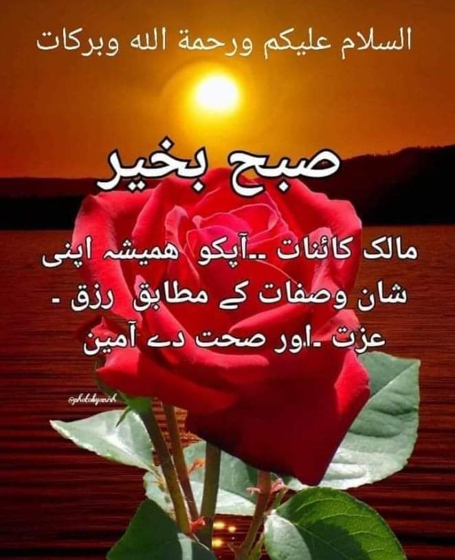 اے ستر ماؤں سے زیادہ محبت کرنے والے اللہ، اے *ٱلْجَبَّار*، تو ہمارے دل کی تڑپ اور ہماری بے بسیاں خوب جانتا ہے۔ ہماری وہ خاموش دعائیں، جو ہم لفظوں میں بیان نہیں کر سکتے، ان پر اپنی خاص رحمت سے "*کُن*" فرما دے۔
*آمین یا رب العالمین!* ♥️