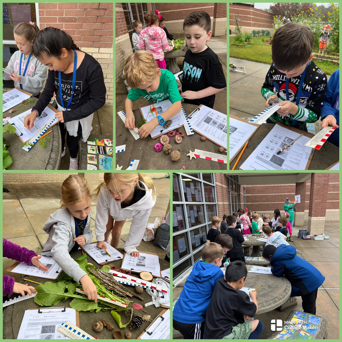 Kristy Michel tweet media