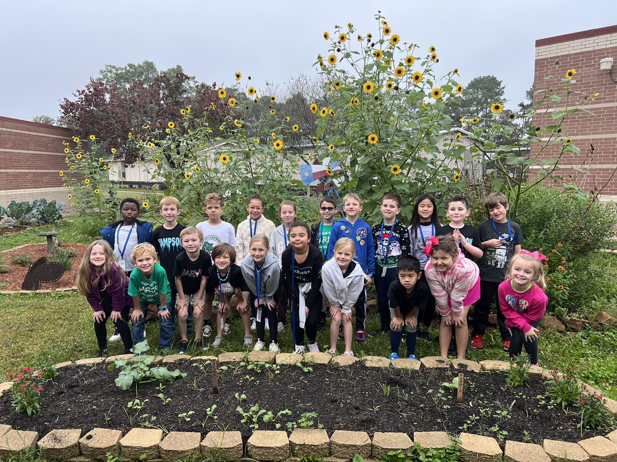 Kristy Michel tweet media