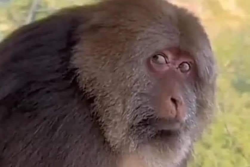 Tu ExNovio Favorito tweet media