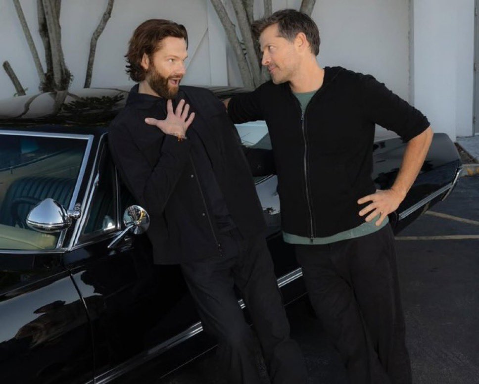 guys. mishalecki is so back