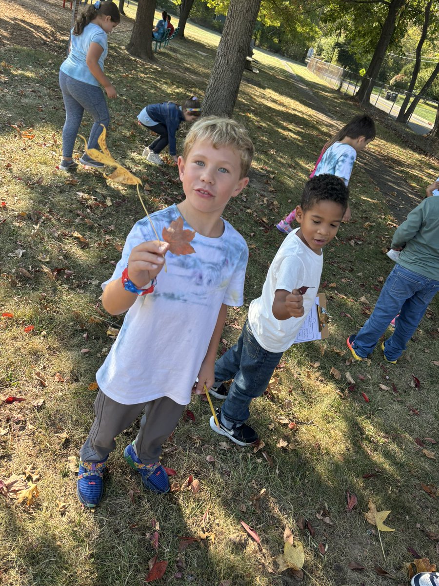 Leaf hunting with our K buddies💙<a href="/RobertHunterES/">Robert Hunter</a>