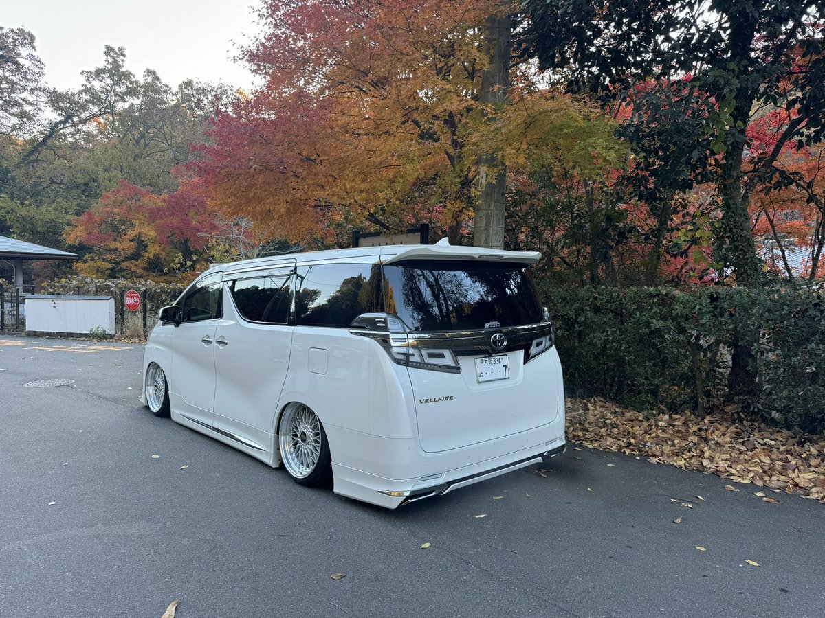 つかぽん (@tsuka_0717) / Posts / X