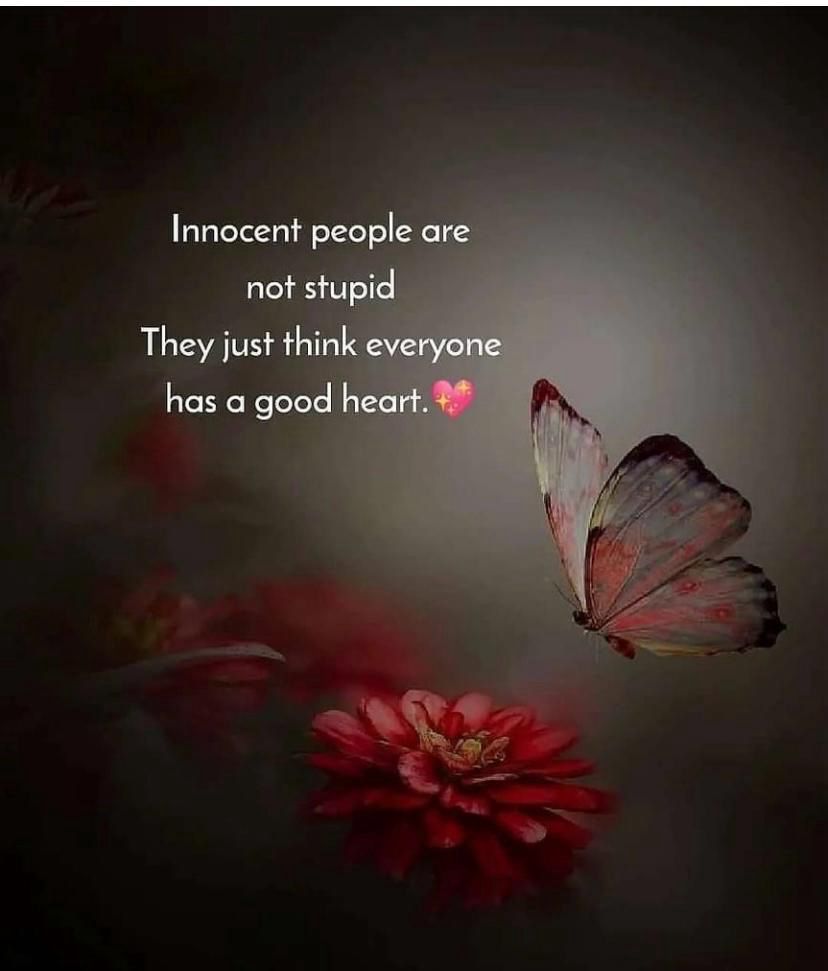 yv_post's tweet image. मासूम लोग मूर्ख नहीं होते। वे बस ये समझते हैं कि हर कोई अच्छे दिल वाला है। #DecemberVibes