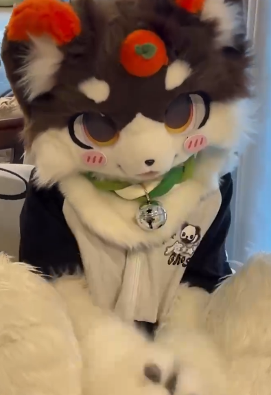 ThomasLuca40752's tweet photo. A display of a brown persimmon puppy
—so adorable! 🐶🍂
#handmade #furry #kig #furrysuit #FurryFashion #fursuit #handmade #furrycommunity #cosplay #kigurumi #furry #custommade #kigurumimask #FursuitsEveryday https://t.co/7OKvUOhoQE