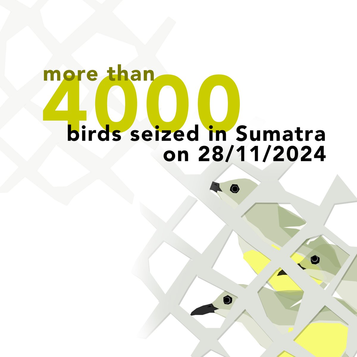 IUCN_Songbirds tweet media