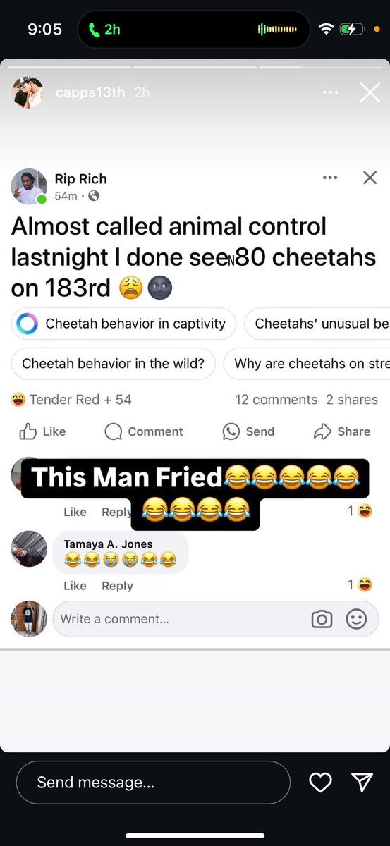 FlySupport1's tweet image. Cheetah Girl 🐆 😍🤏🏿🤏🏿