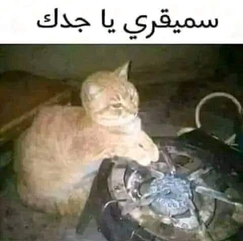 •Δ•Haroune™• tweet media