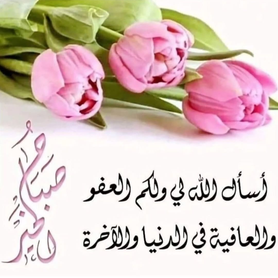 hala00049's tweet photo. @ALhazMhh https://t.co/4ys7T7aj27