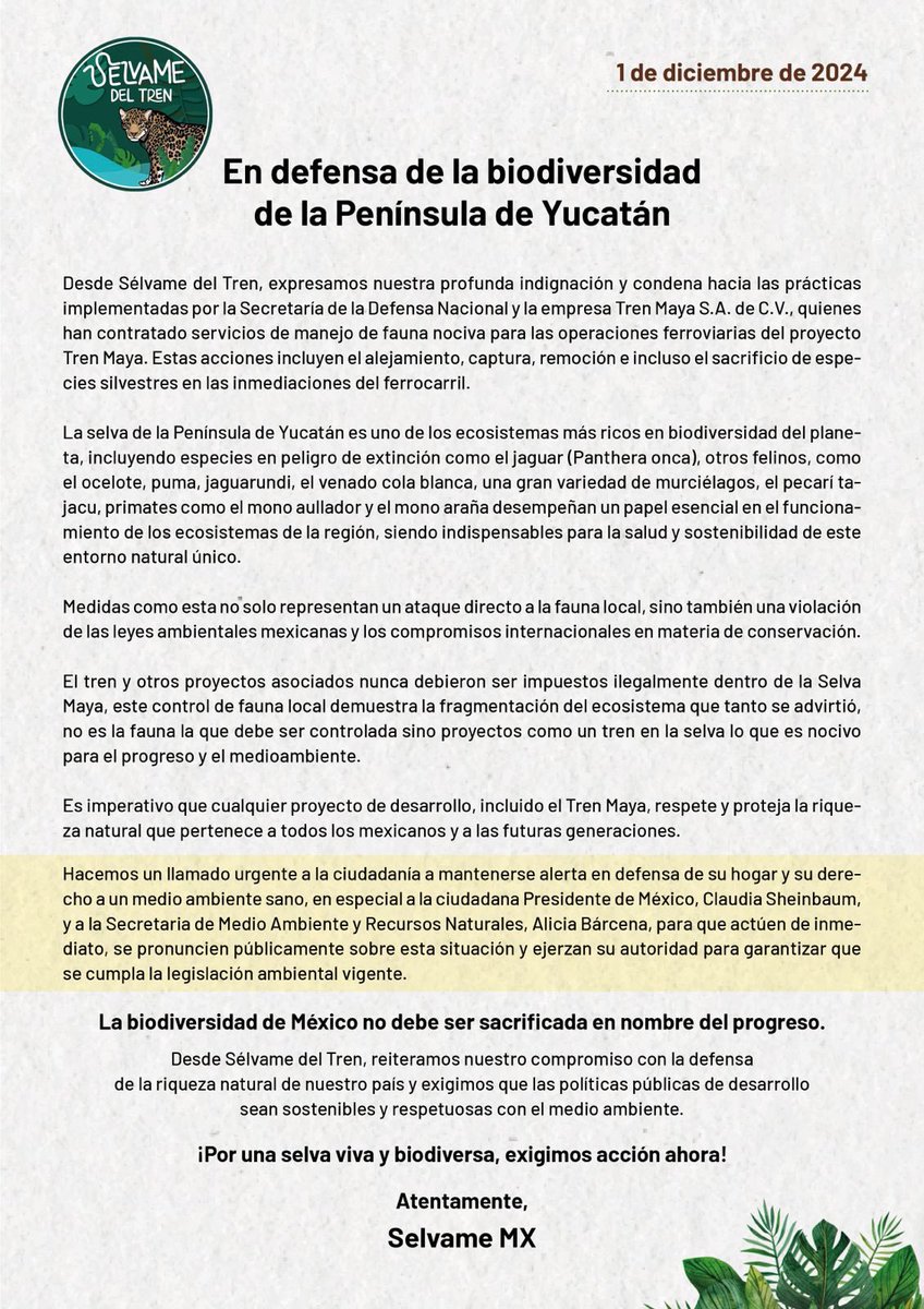 Mr_Civico's tweet image. Eres una cínica Claudia 👇🏻
El turismo no habrá y se va a caer el mal llamado Tren Maya, los activistas te mandamos una carta y tú cómo si nada, te lo estamos dice y dice y sin pronunciarse sobre la "fauna nociva" 🚨

#OjosEnMéxico