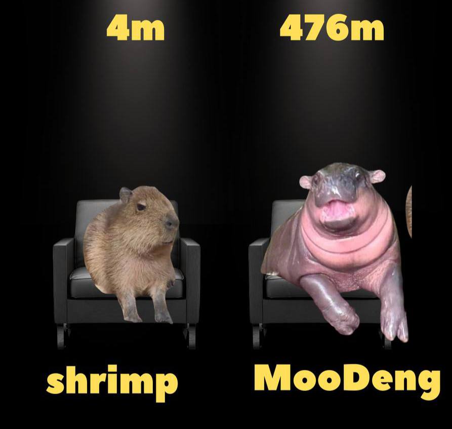 ⚡ MsDangerousXRP⚡ tweet media