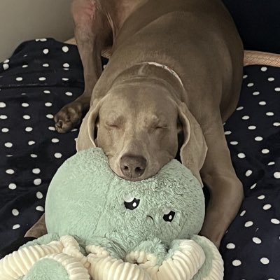 CraigCoburn's tweet photo. #NewProfilePic https://t.co/9feh7exsjG
