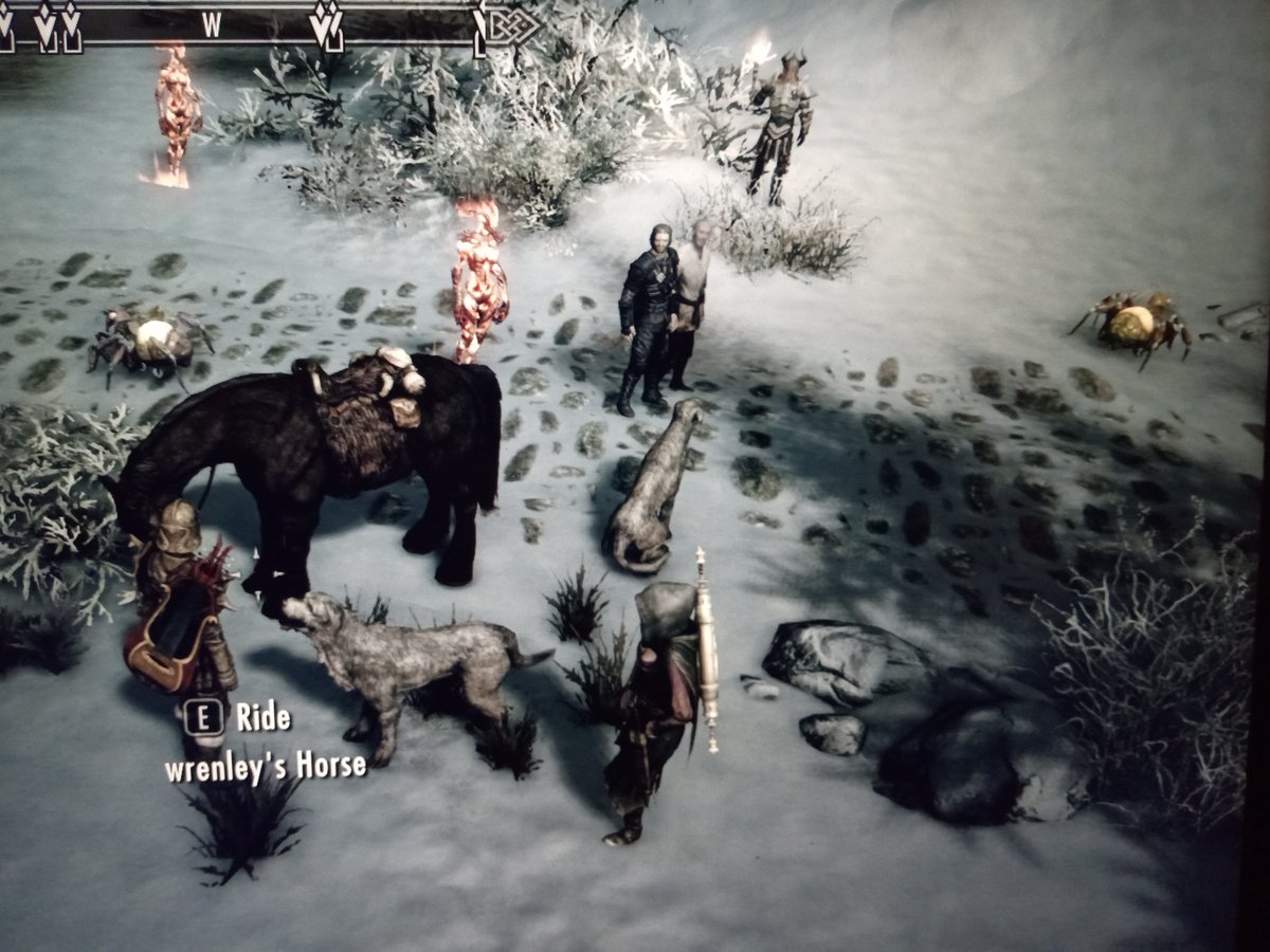 QueenInRags's tweet photo. Idk what to post but here's my crew on #Skyrim 🫡 https://t.co/OvN03SAxYo