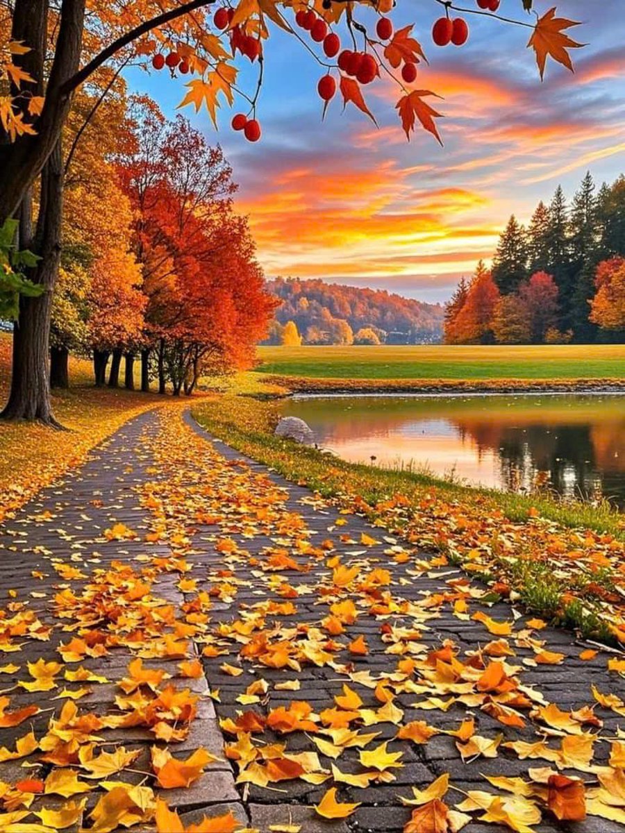 An early-morning is a blessing for the whole day.🥀

◦•●🌻♡♡🌻●•◦🕊️🌹