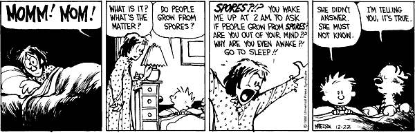 dailyCalvinandH's tweet photo. https://t.co/71BwZoN6lw