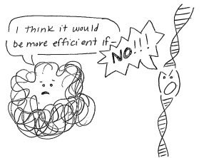Nature loves symmetry—but only to a point. DNA’s double helix is perfectly balanced, yet proteins fold asymmetrically for functioning. 

Symmetry creates beauty; breaking it creates life.  🧬