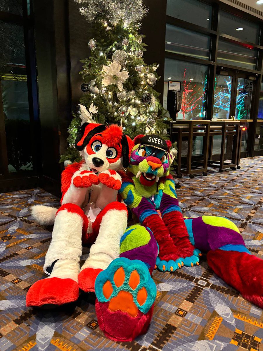 Dogs and cats for Christmas? <a href="/SaberStubs/">👑Nova👑</a>