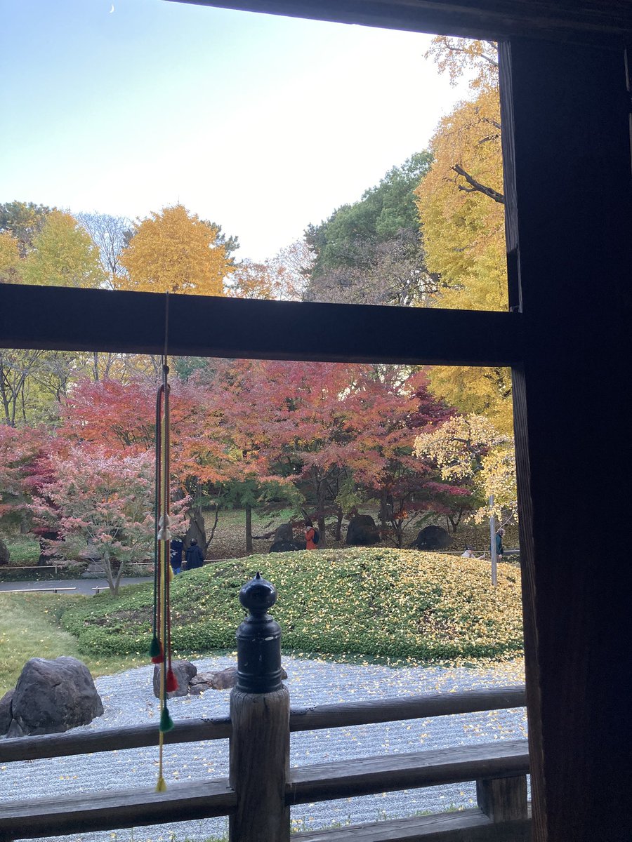 #STEPNGOxadidas #STEPN 
💛