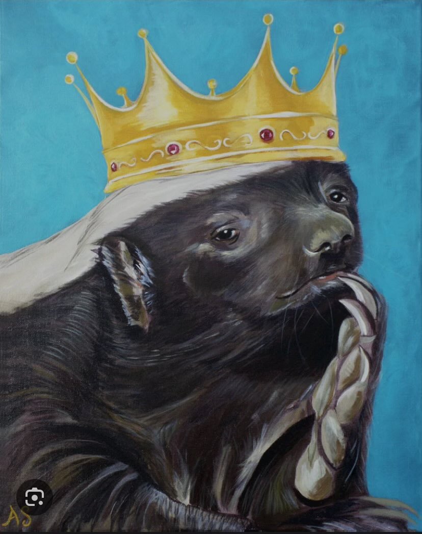 The3rdReginald's tweet image. If you like Bitcoin and aren’t a dipshit, I wanna follow you. You don’t even need to follow me back. Cause honey badgers don’t give a fuck. #Bitcoin