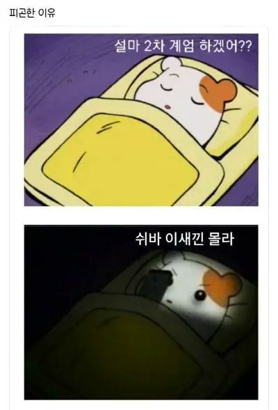 지난주 내내 피곤했던 이유..