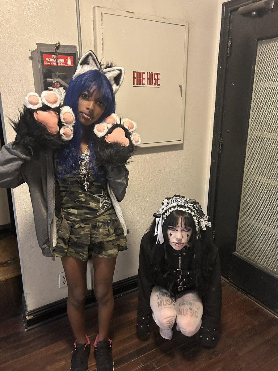 ariontherun's tweet photo. Clown kitty 🤡🐱💋 https://t.co/OG6yMokH2A