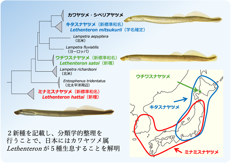 FRA　水産研究・教育機構 tweet media