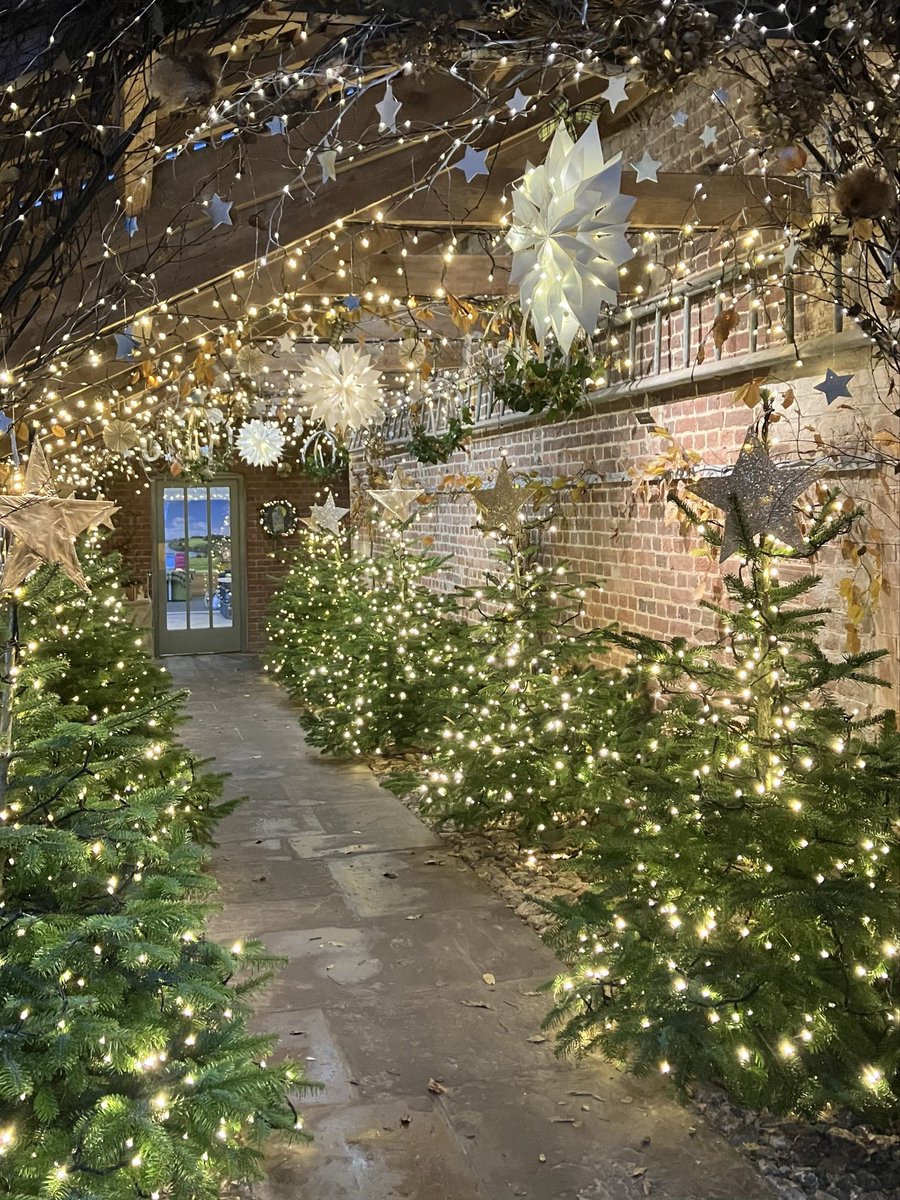 TulipHeather's tweet photo. The ladder walk at @NTTrelissick Cornwall 🤩#AlphabetChallenge 
#WeekXForXmas https://t.co/hNGLoXJxQU