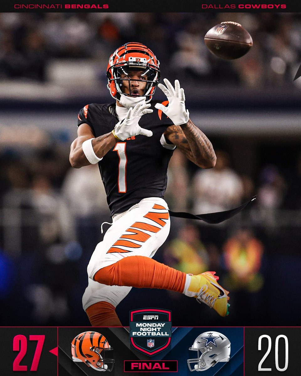 THE WINCINNATI BENGALS.