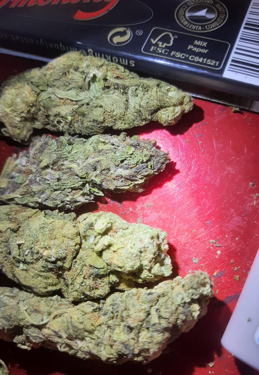 budtender37's tweet photo. Tap in to exclusive deals
Gbags available,wake and bake
Joints ksh 400 king size
Backwood joints 1000
Interior CS Chelsea Palmer Kasongo Diddy Koki Muli Sancho #enddonkeyslaughter Uhuru #FURAHACITYFESTIVAL #PayJuniorDoctors Southgate https://t.co/iHGKaBKd5P