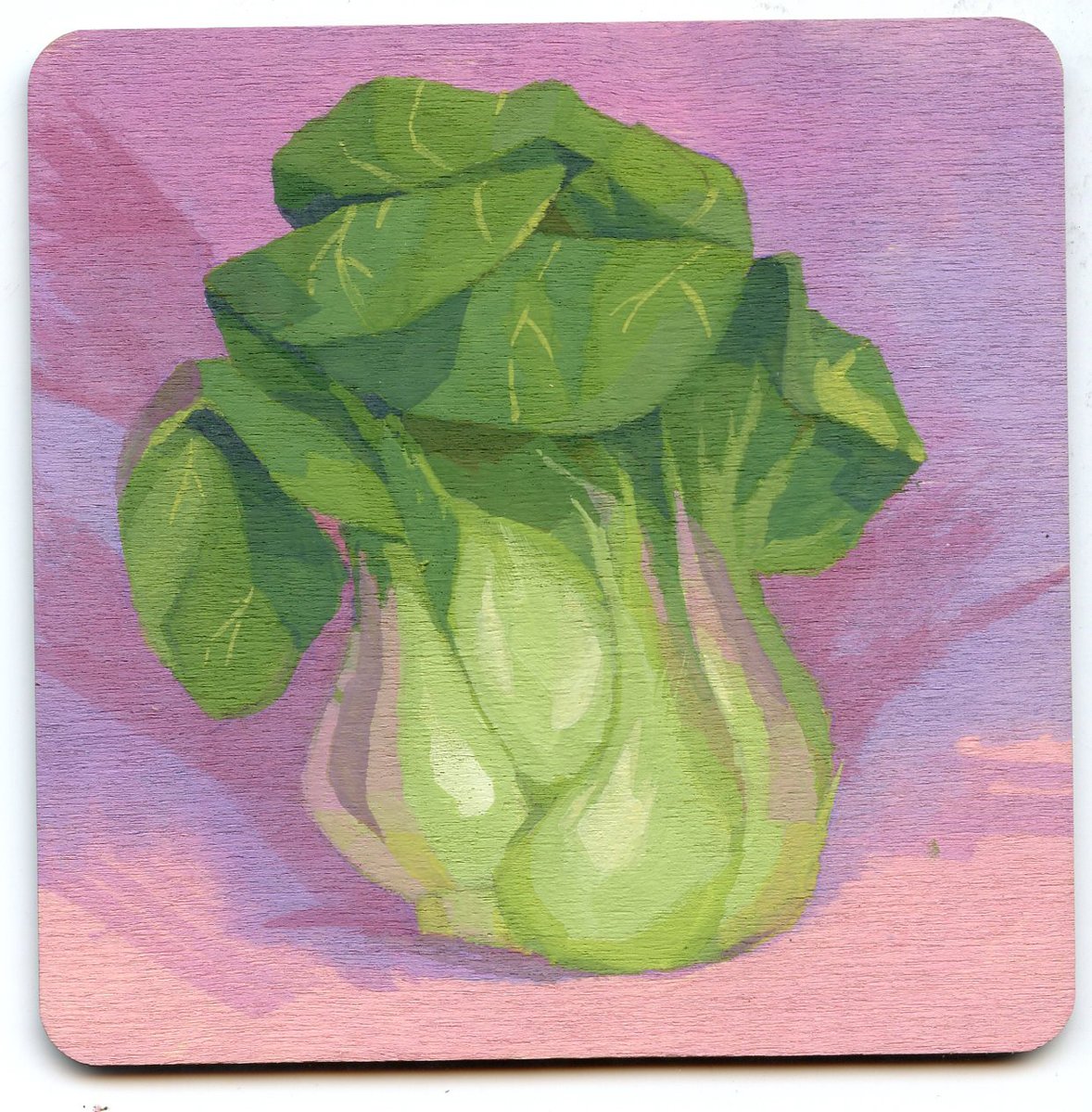 lemonikate's tweet photo. #coastcard 09
#青江菜
#bokchoy
#coastcard2024
@warriorpainters https://t.co/xANEXzVb8M