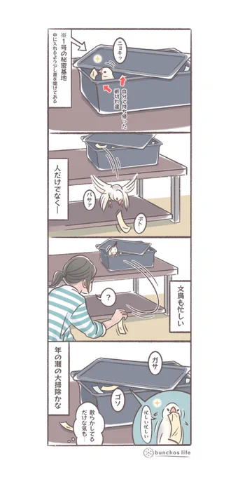 秘密基地から紙をパラパラ落とし掃除を邪魔する1号、文鳥達も大掃除?年の瀬ですね
#文鳥 
#4コマ漫画

※2025文鳥カレンダー販売中!
SUZURIグッズも追加しました!
ハイライトから見てね✨ 