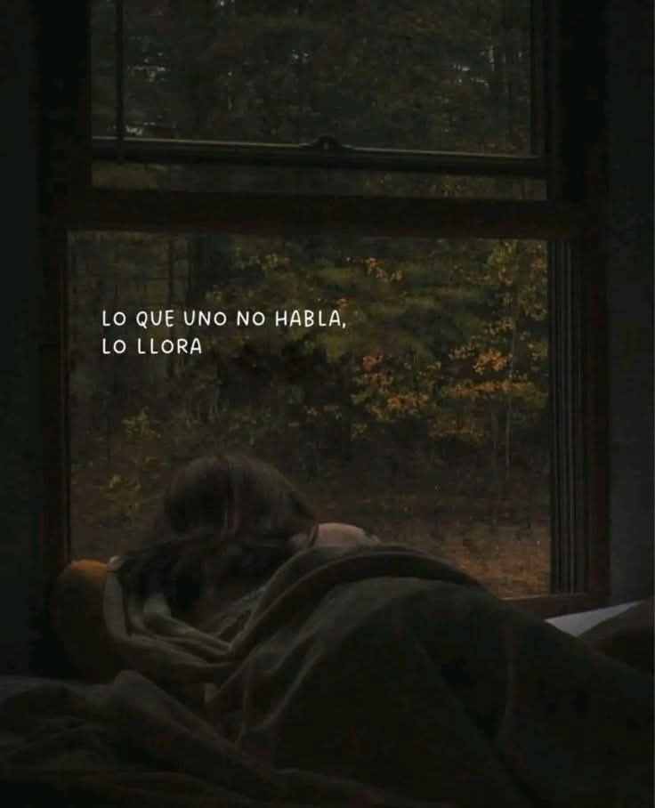 Lonely🥀 (@angelo_uf) on Twitter photo 