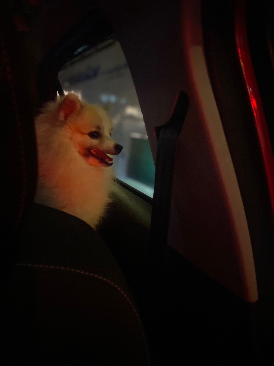 Ball_2506's tweet photo. โดดเดี่ยวเดียวดายไม่ใช่ไครฟูเองงับ🐶🥺
#บ่อวิน #ปลวกแดง #ระยอง #นิคมพัฒนา #พัฒนานิคม https://t.co/IJ7Ue0bQTH