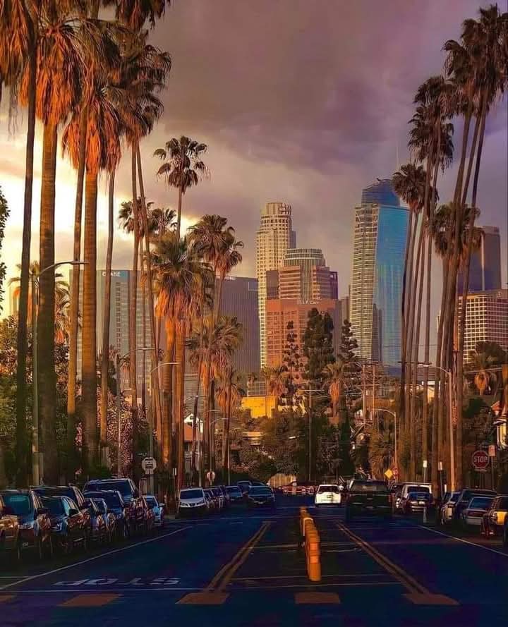 Figen15 (@magical_nature7) on Twitter photo 