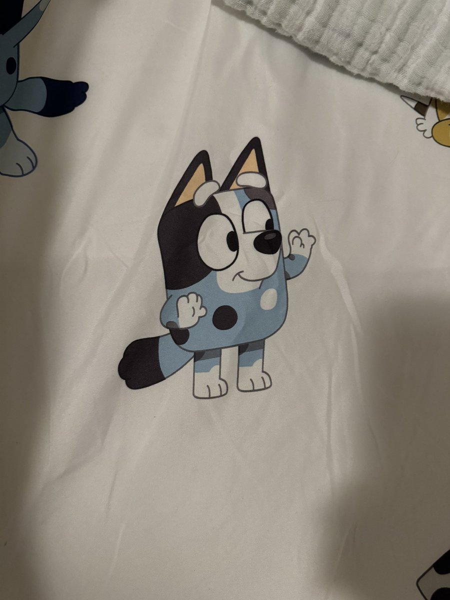 TreAtkinson's tweet image. I need the @OfficialBlueyTV universe to help. Who in the keepy uppy is this character on my kids sheets?

I’ve researched everything I can and still don’t have an answer. Who is this child? #Bluey