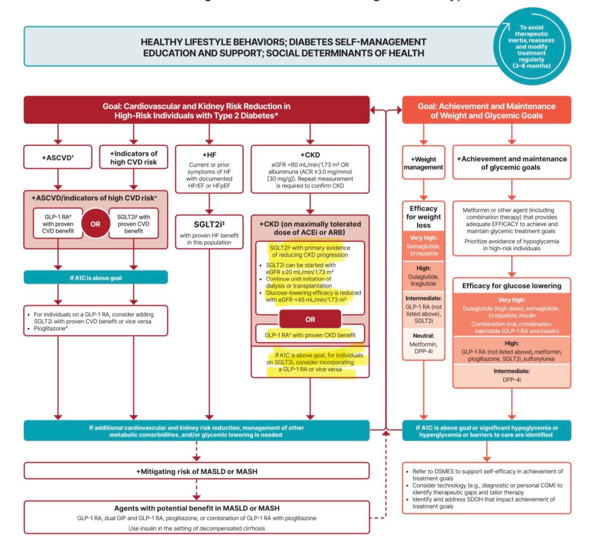 Guías ADA2025 en tratamiento de diabetes y ERC. 

Recomiendan 

-Cambios en estilo de vida
-Metas de glucosa/TA <130/80 mmHg
-Fármacos de 1ra línea (individualizar): iSGLT2/ metformina/IECA-ARA II/estatina
-GLP-1RA y nsMRA (cuidar K+) en DT2 + ERC