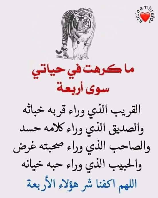 akiluno_a's tweet photo. امين يارب العالمين 🤲 https://t.co/4KeSYrqNwE