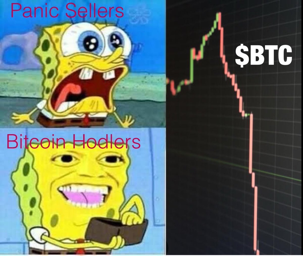 subscrypts's tweet photo. #BTFD #BTC https://t.co/7ZFDxI6sWi