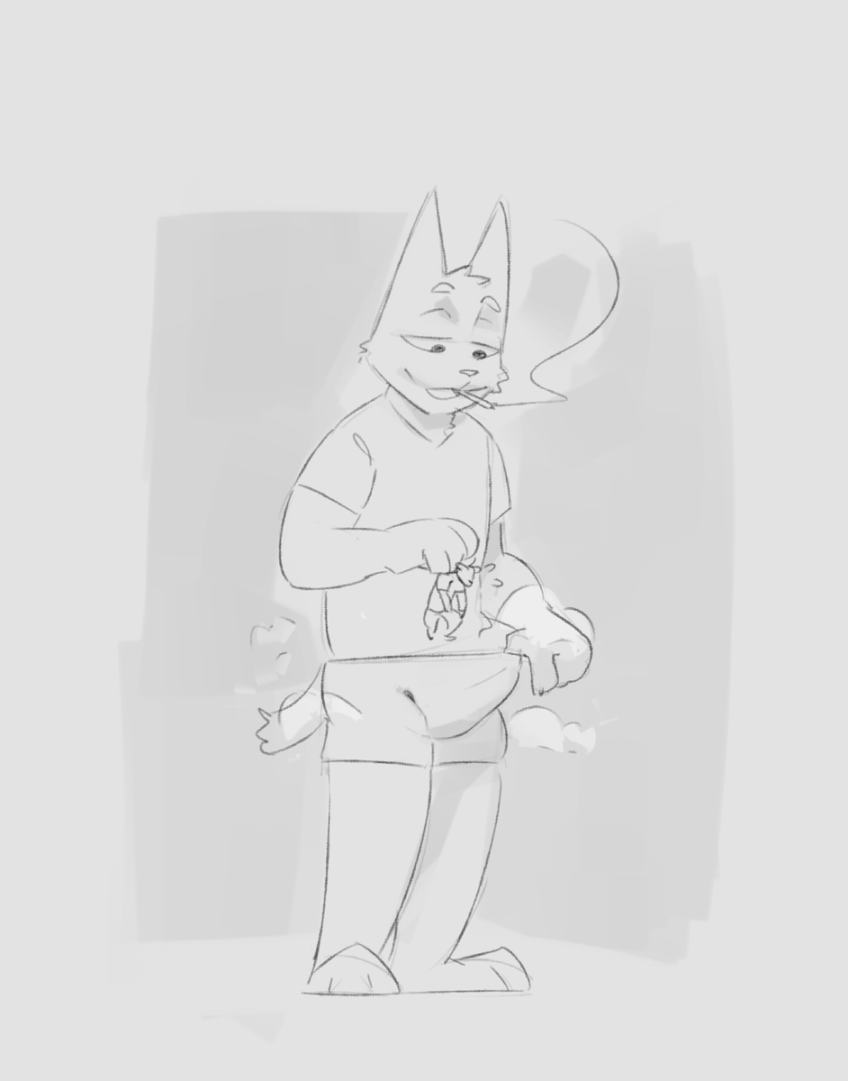 GATO🔞 tweet media