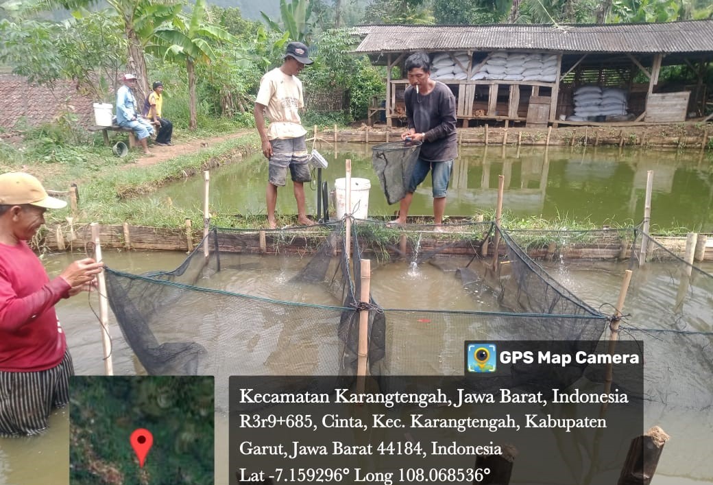 fit_nurlestari's tweet photo. Senin (09/12), Fitria Nur Lestari, Luhkan Garut, di Pokdakan Mekarjaya Ds Cinta, pendampingan panen ikan nila, sebanyak 1200 Kg, Harga Rp. 25.000/Kg #GiatLuhkanSatminkalbogor #KabGarut #Panen
@brpbatpp_bogor
@pusluh_bppsdm
@bppsdm_kp https://t.co/jdxG82s7WD