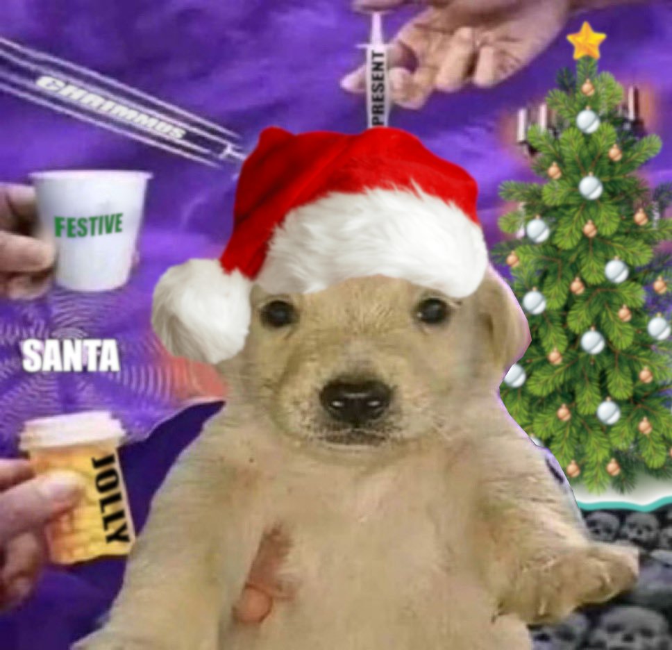 making christmas profile pics with the gang tn