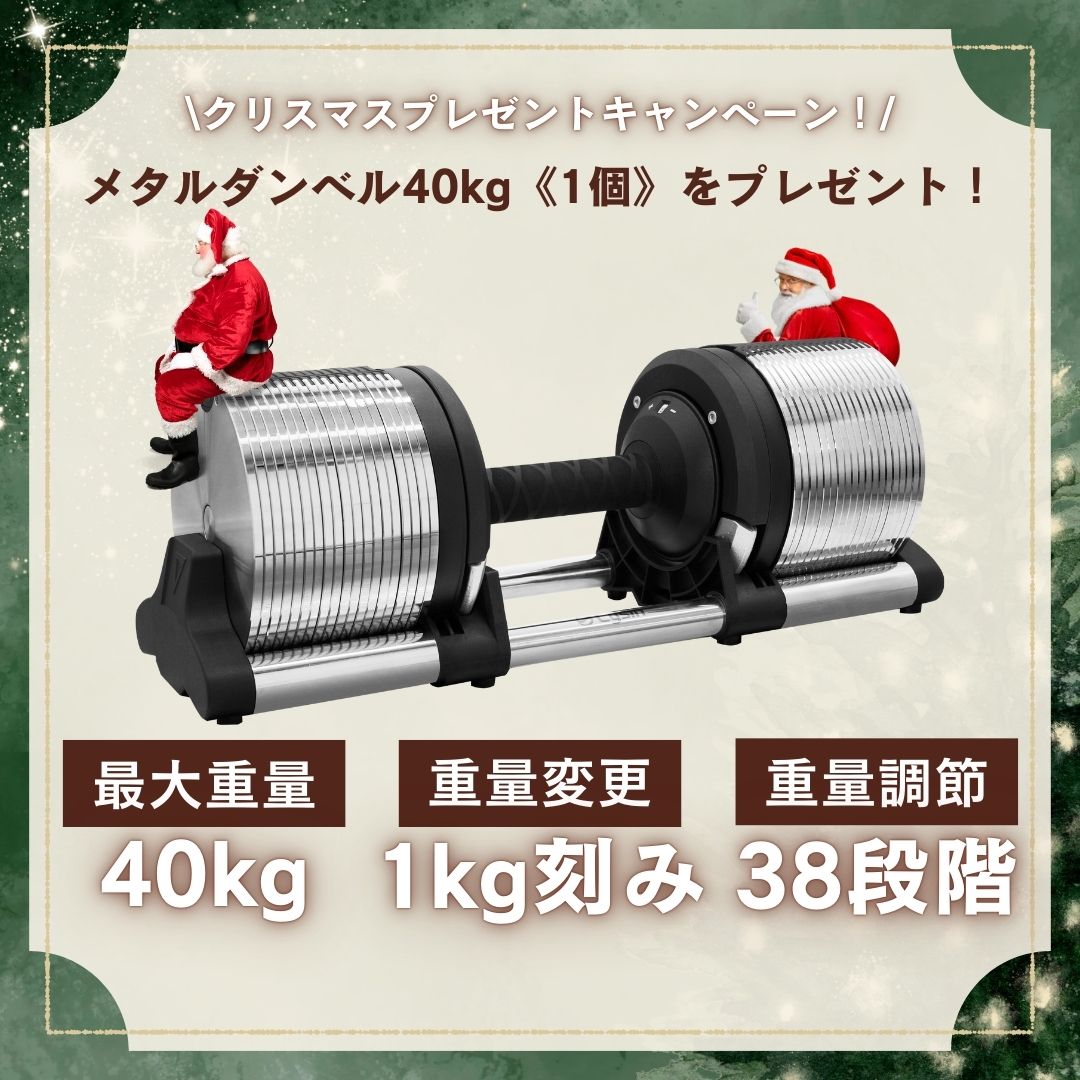 ライシン 【公式】 トレーニング ダンベル フレックスベル プロ ライシン 【公式】 トレーニング ダンベル フレックスベル プロ