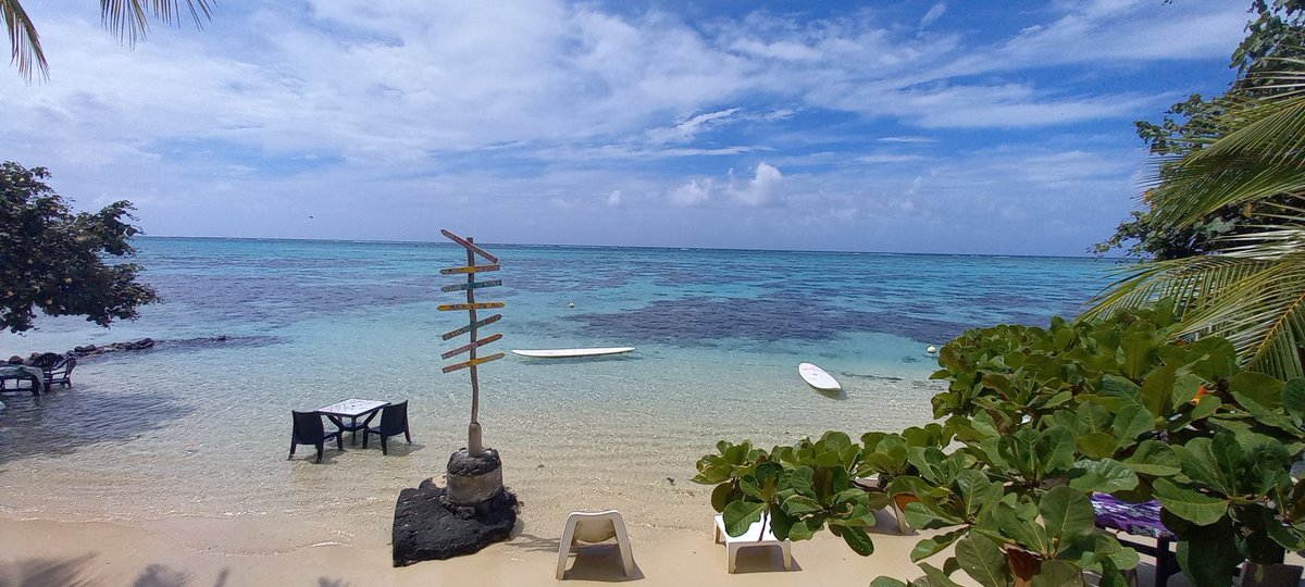 txl0612's tweet photo. #Moorea https://t.co/mrel97CN2Q