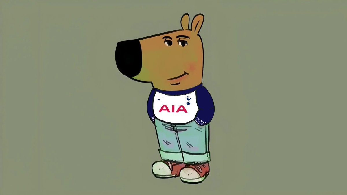 Every Tottenham fan divided over Ange ball but am just a chill fan trusting the process