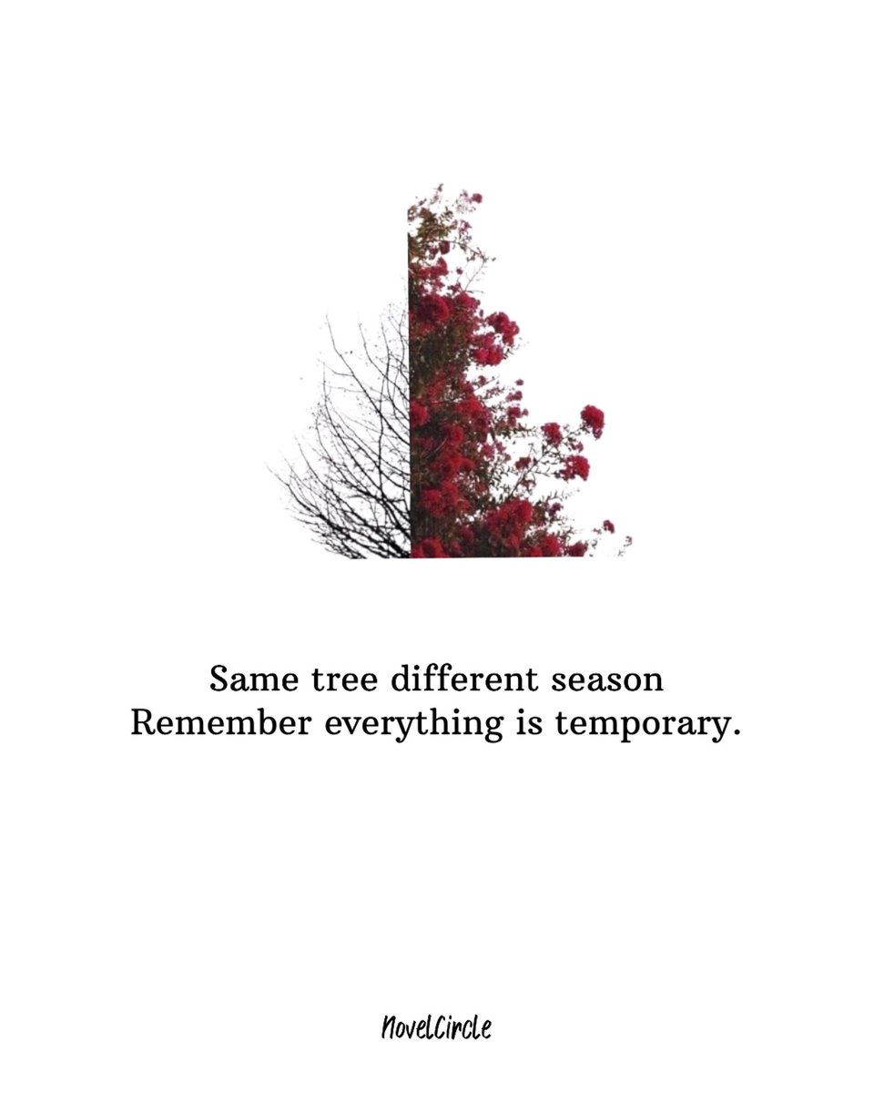 Mind_Essentials's tweet photo. https://t.co/hlJ1saDwbb